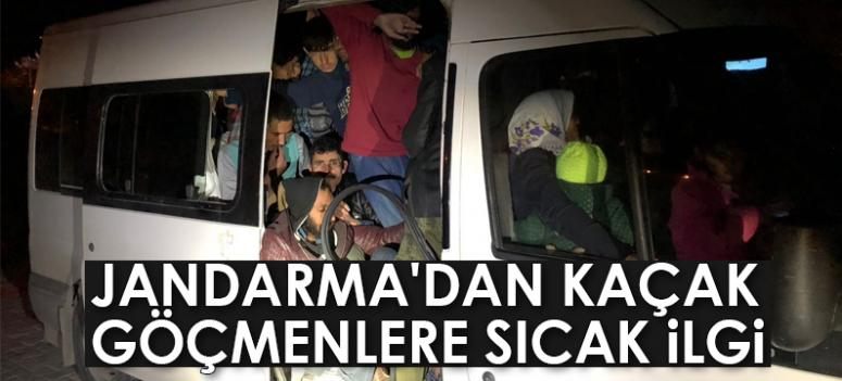 Jandarma