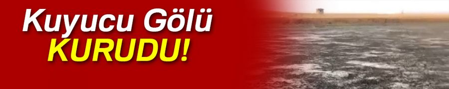 Kuyucuk Gölü kurudu, yaban hayvanları baraj gölüne sığındı