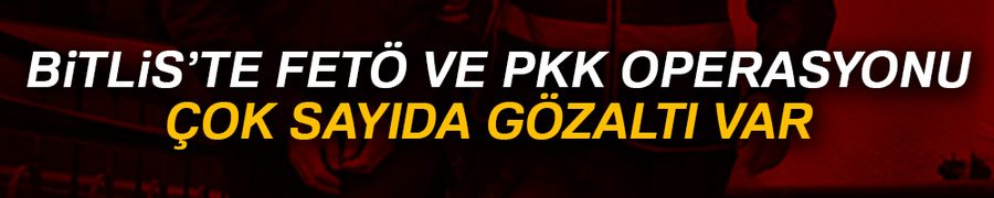 Bitlis PKK ve FETÖ operasyonu: 12 gözaltı
