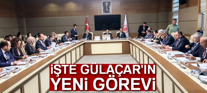 TBMM İnsan Haklarını İnceleme Komisyonu sözcülüğüne Gülaçar seçildi