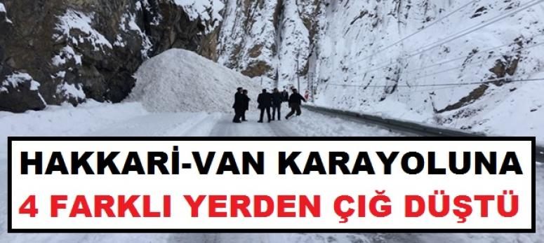 Hakkari-Van karayoluna 4 noktada çığ düştü