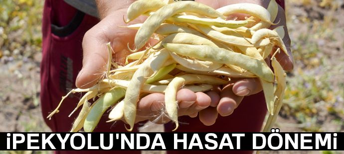 İpekyolu