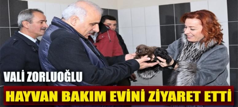 Vali Zorluoğlu, hayvan bakım evini ziyaret etti