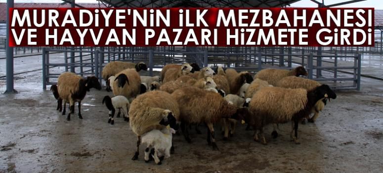 Muradiye