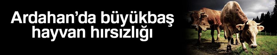 Ardahan