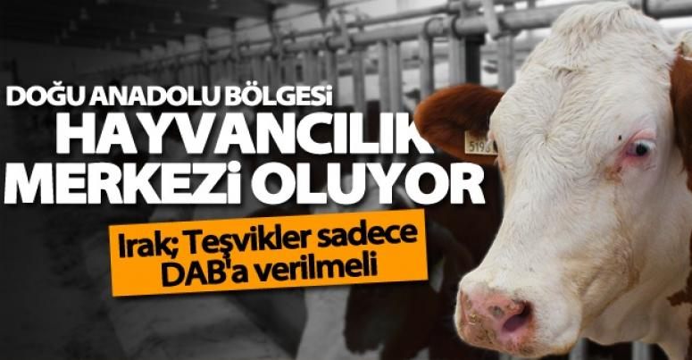 Doğu Anadolu Bölgesi hayvancılık merkezi oluyor