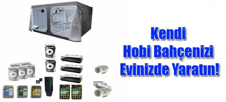 Kendi Hobi Bahçenizi Evinizde Yaratın!