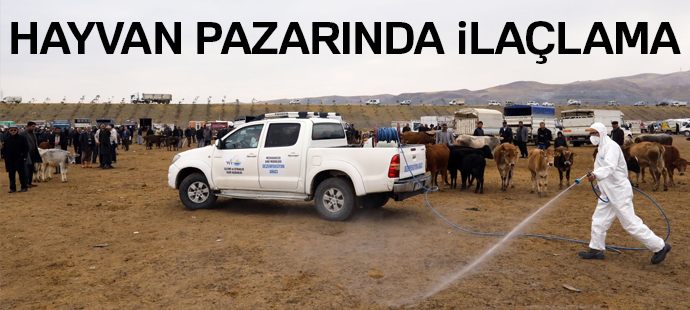 Hayvan pazarında ilaçlama