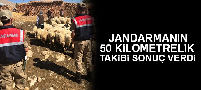 Jandarmanın 50 kilometrelik takibi sonuç verdi