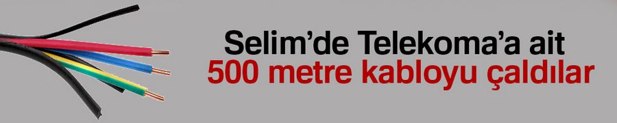 Selim