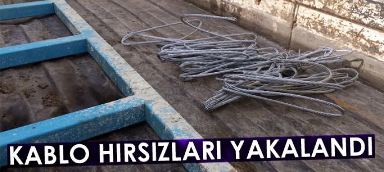 Jandarma kurduğu özel ekiple hırsızları suçüstü yakaladı
