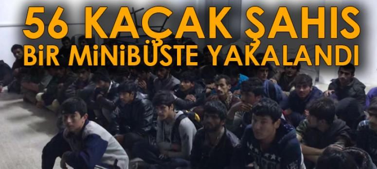56 kaçak şahıs bir minibüste yakalandı