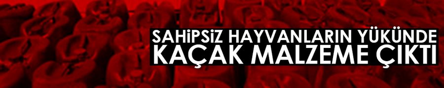 Sahipsiz hayvanlarının yükünde kaçak malzeme çıktı