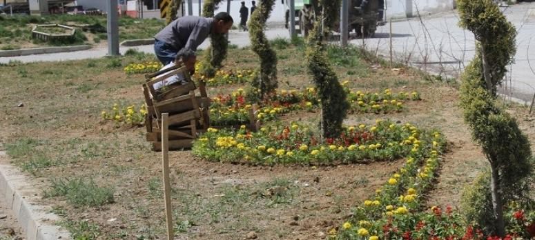 Başkale Belediyesinden çiçek ekimi