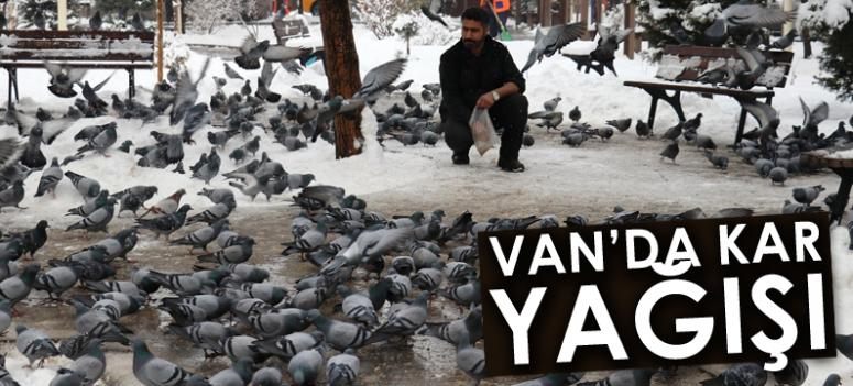 Van