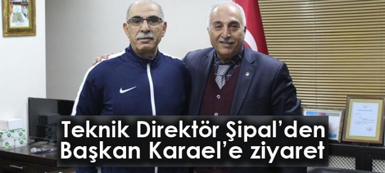 Teknik Direktör Şipal