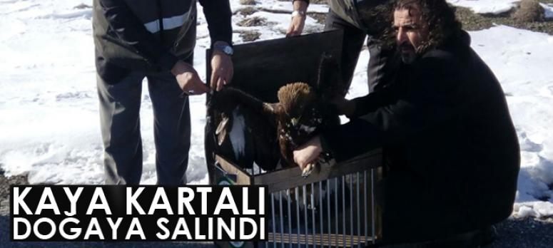 2 Şubat Dünya Sulak Alanlar Günü