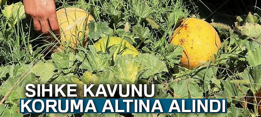 Sıhke Kavunu koruma altına alındı