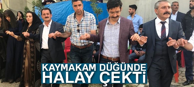 Kaymakam düğünde halay çekti