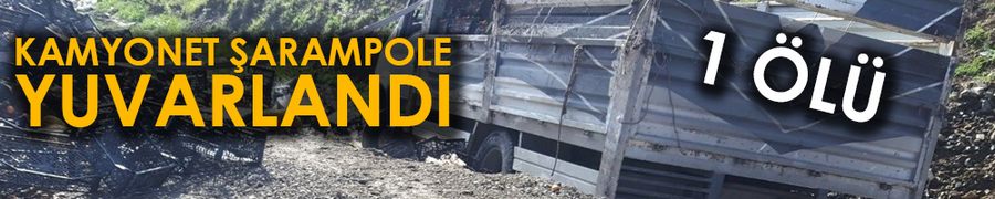 Kamyonet şarampole devrildi: 1 ölü