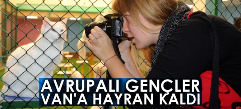 Avrupalı gençler Van