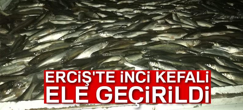 Erciş