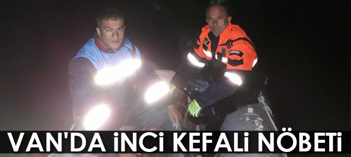 Van Gölü