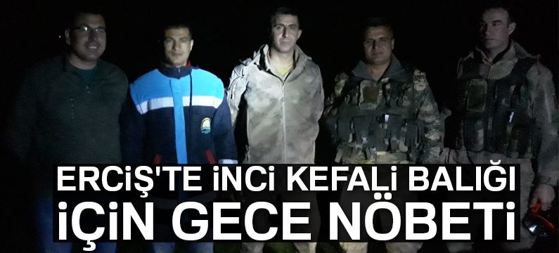 Erciş