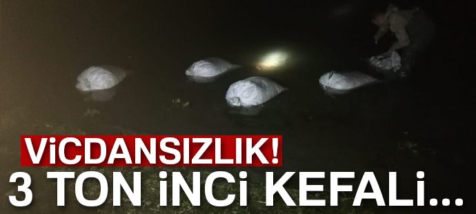 Erciş