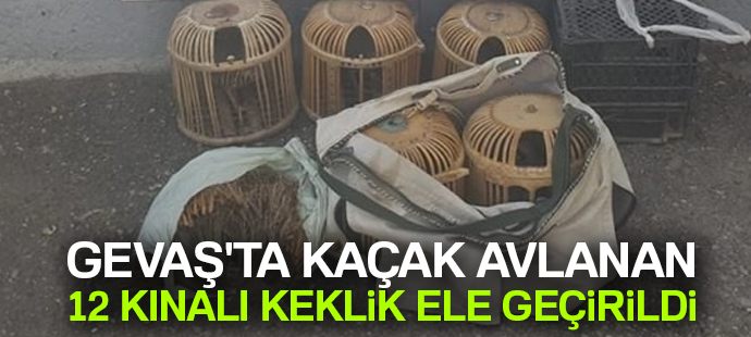 Gevaş