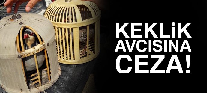 Gevaş ilçesinde keklik avcısına ceza