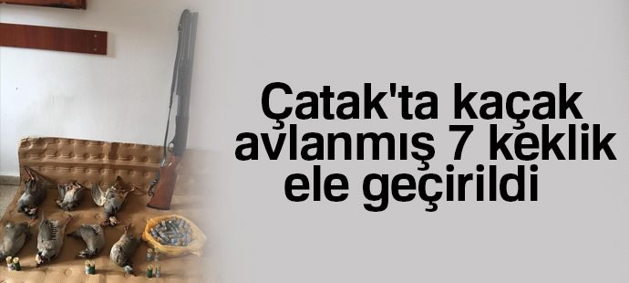 Çatak