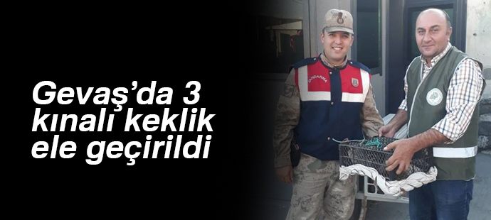 Gevaş