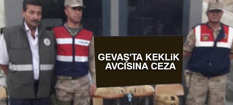 Gevaş