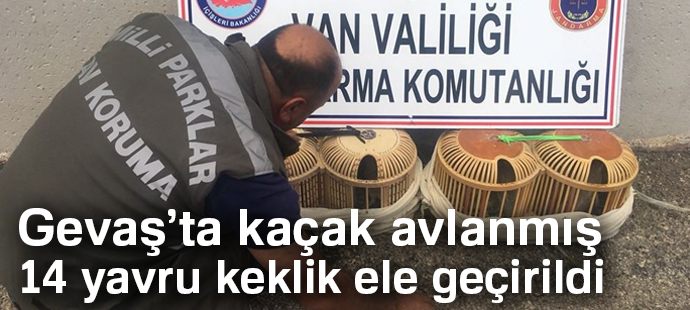 Gevaş