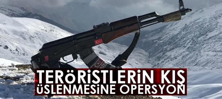Teröristlerin kış üslenme alanlarına operasyon