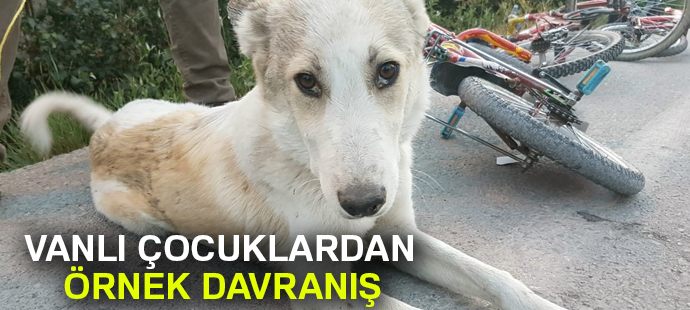 Vanlı çocuklardan örnek davranış