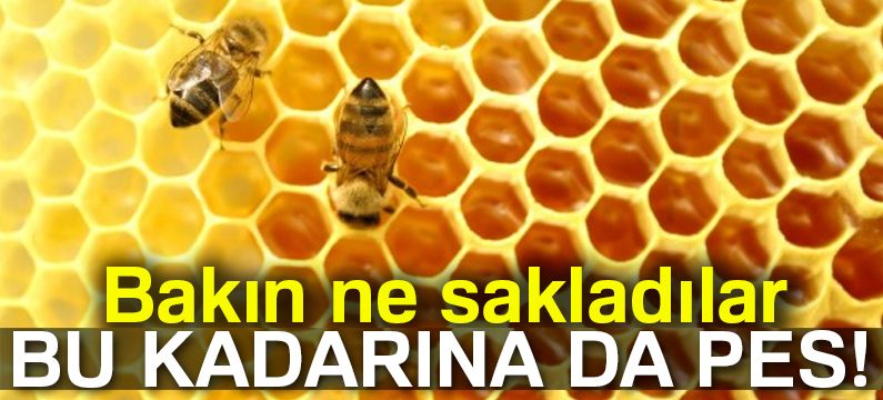 Bal kovanlarında kaçak sigara çıktı