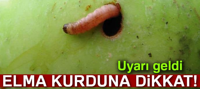 Elma yetiştiricilerine 