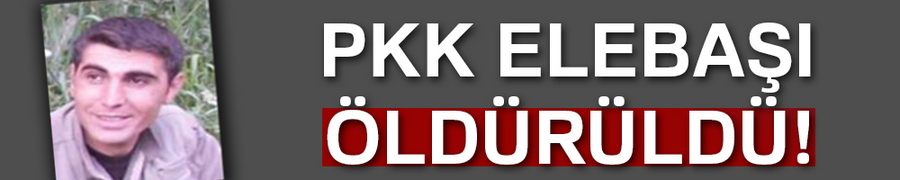 Bir milyon TL ödülle aranan terörist etkisiz hale getirildi
