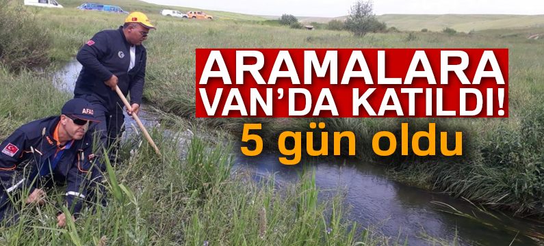 4 yaşındaki Leyla