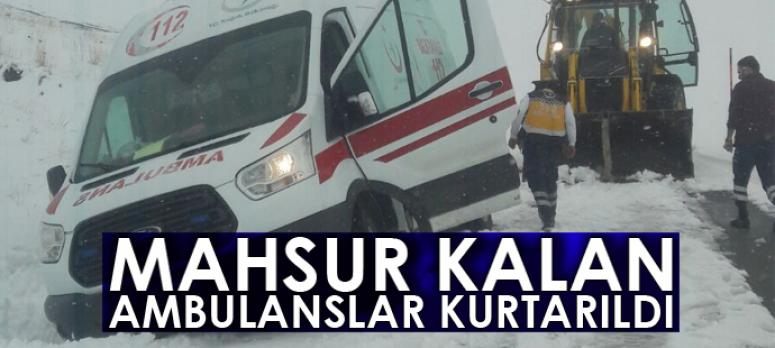 Van Büyükşehir