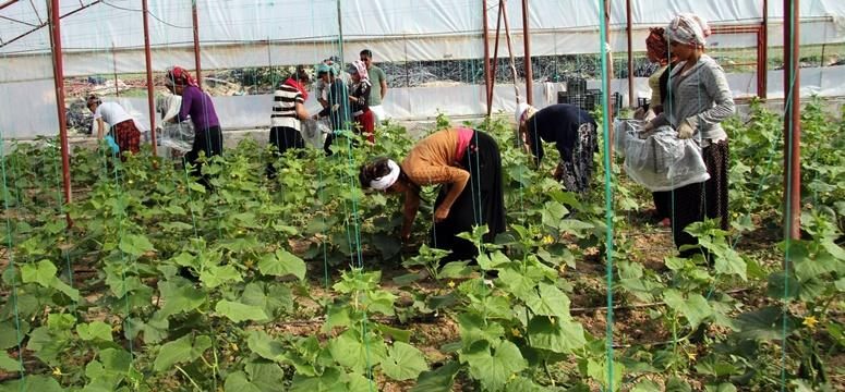 Kadın işçilerin ekmek mücadelesi