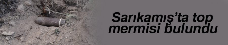 Sarıkamış