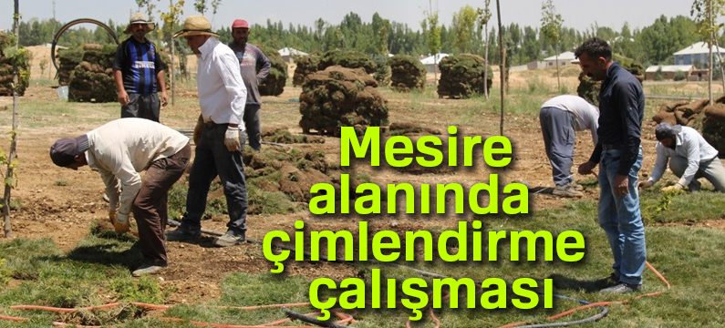 Mesire alanında çimlendirme çalışması