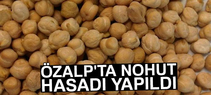 Özalp ilçesinde nohut hasadı