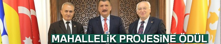 Mahallelilik Projesine ödül