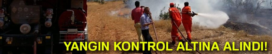 Ormanlık alandaki yangın kontrol altına alındı