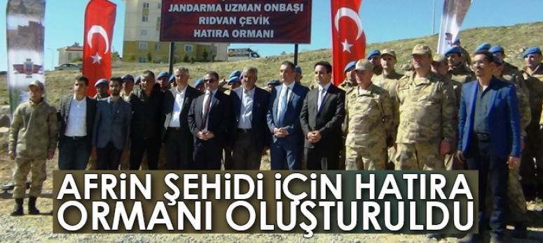 Afrin şehidi için hatıra ormanı oluşturuldu