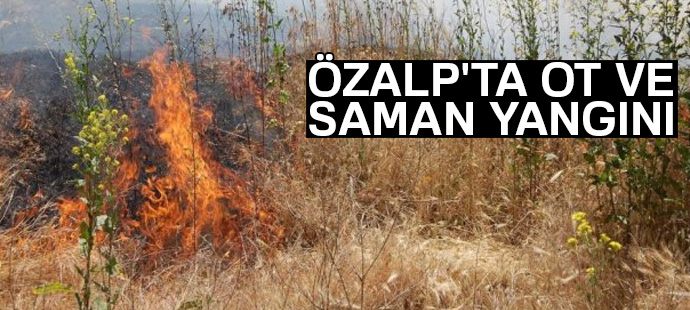 Özalp ilçesinde ot ve saman yangını